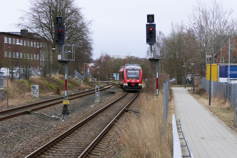 2019-03-10-Kiel-Hassee-006