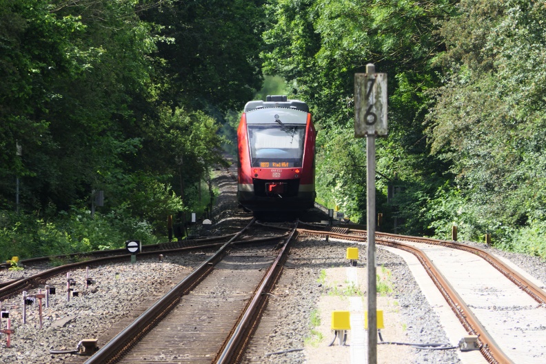 2019-06-09-Suchsdorf-006