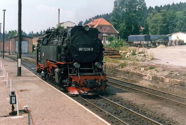 1990-06-23-Harz-Benneckenstein-001.jpg